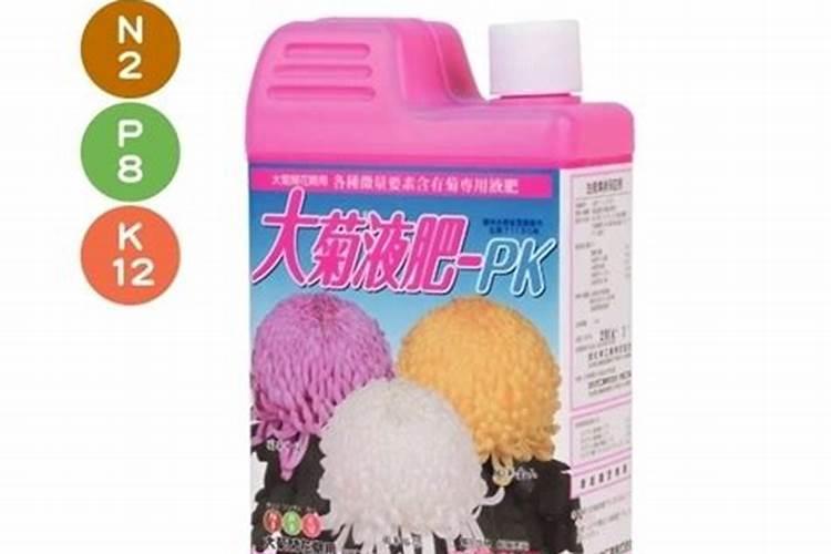 球菊的养殖方法和注意事项