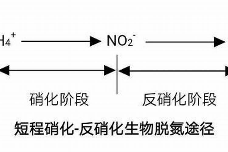 氮肥的作用及功能