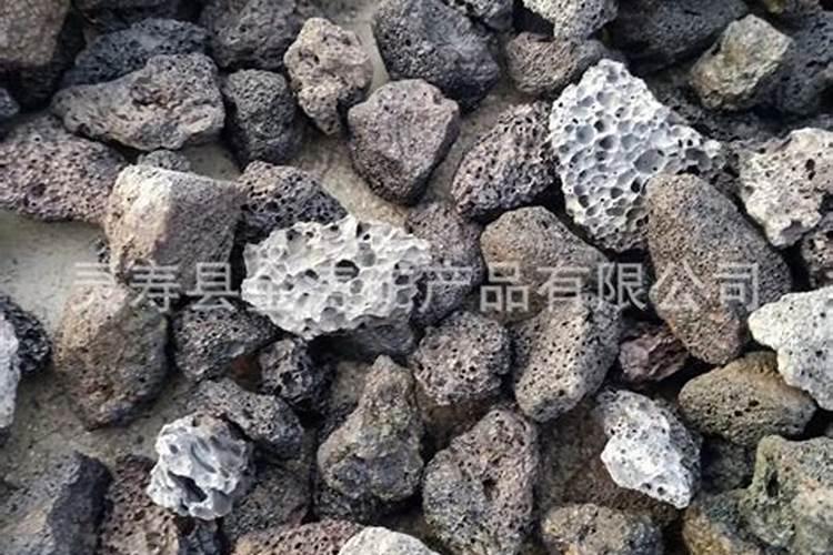 绯花玉的养殖方法和注意事项