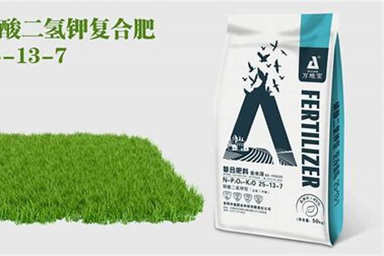 氮肥的主要作用是什么 氮肥的作用是什么