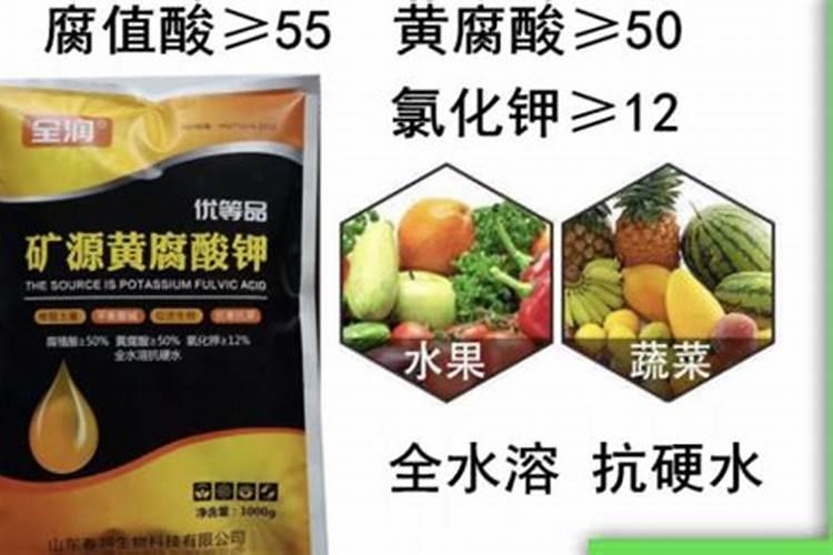 怎样防治猪酒糟中毒？