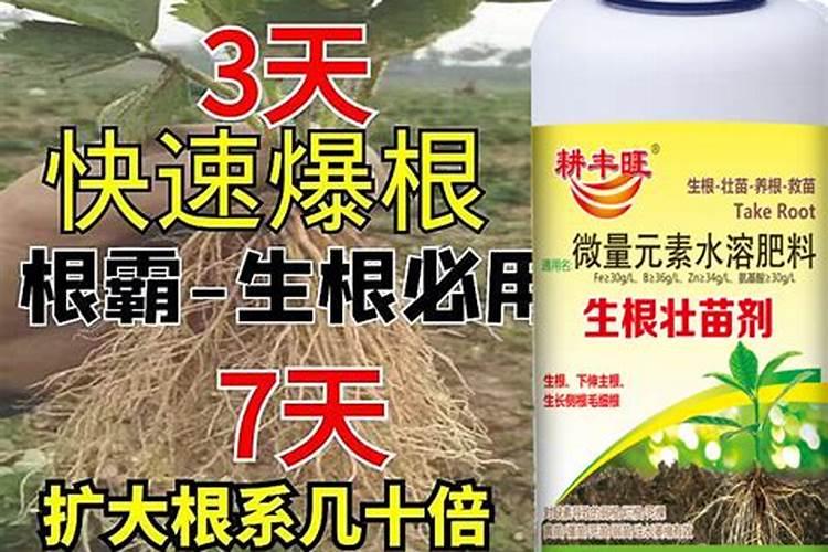 葡萄开花前施什么肥