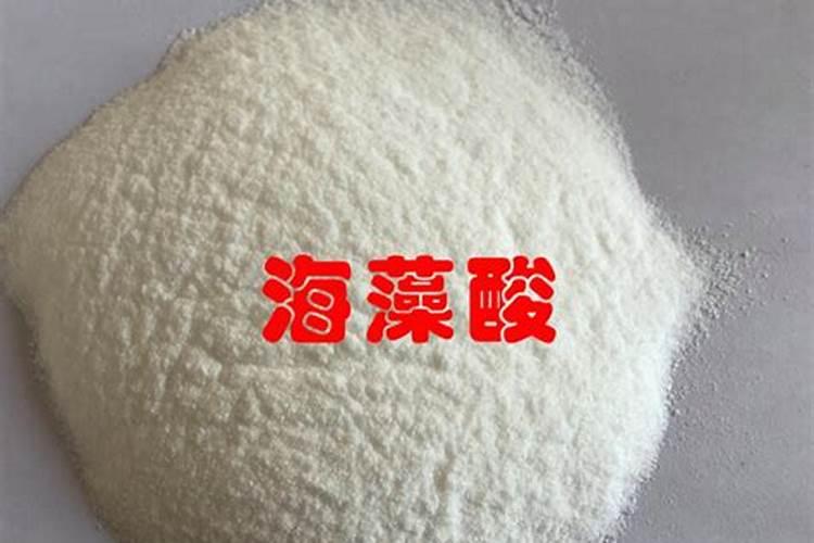 这是什么鸟？