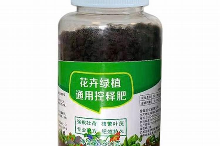 百香果结果期间如何施肥和浇水