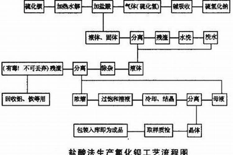 新买的金枝玉叶怎么养
