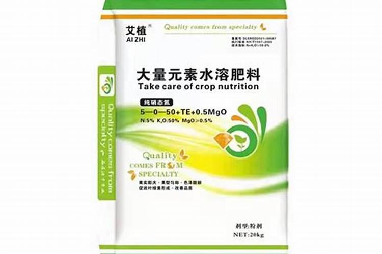 蓟马危害高清图谱+蓟马防治要点全解析