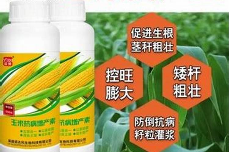 叶面肥的选择是怎样的？
