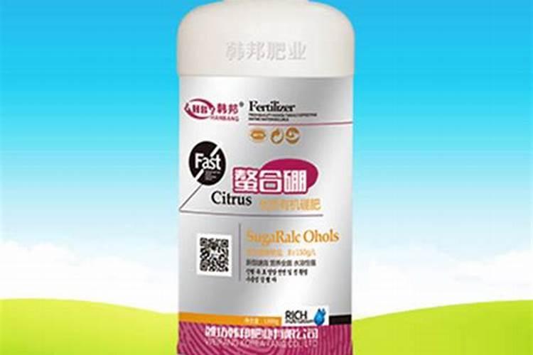 夏种番茄想要保花保果,应该怎么做呢？
