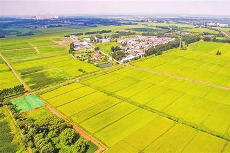国内氨基酸水溶肥生产厂家有哪些？