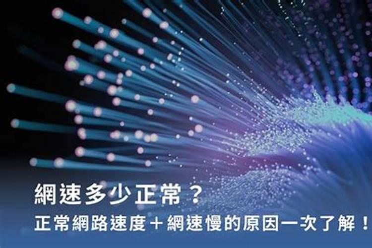豆角叶子太多了可以摘掉吗