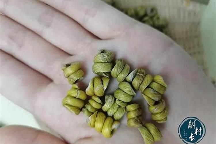 通心菜怎样越冬技术 怎样种植空心菜