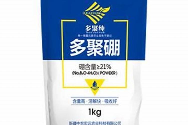 细菌和真菌在自然界中的作用