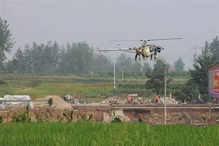 含氨基酸植物vc叶面肥有哪几个品牌