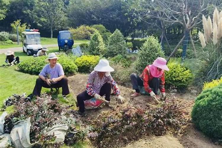 叶面肥有哪些品牌