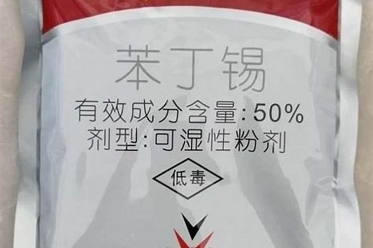 桔子叶子是怎么回事