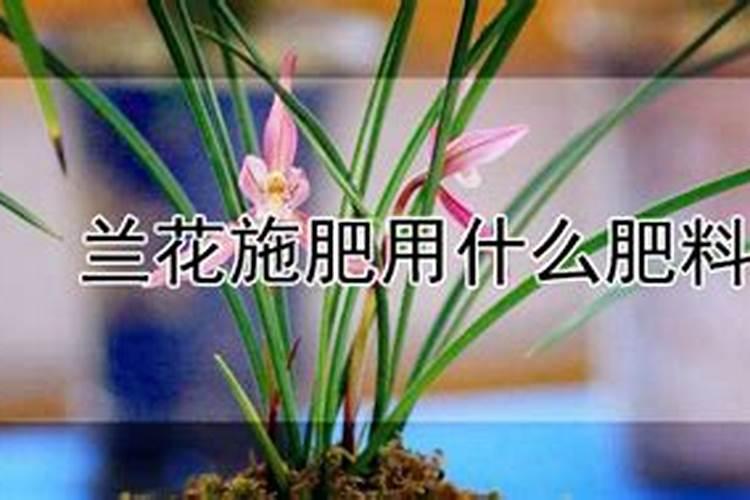 腐植酸什么时候用,怎么用？