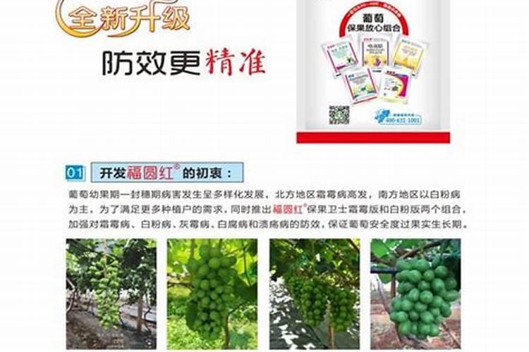 葡萄谢花后施什么肥好