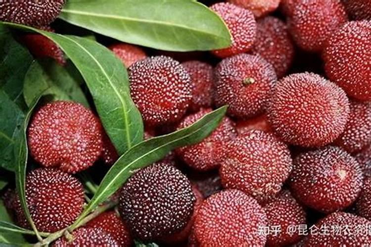 为什么要沤肥