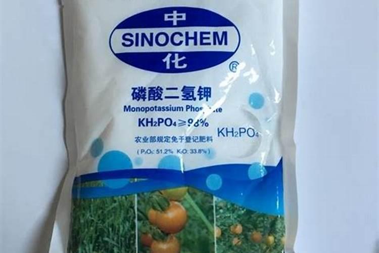 闻着臭的鱼可不可以用来吃？