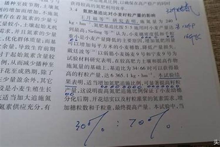 垂吊矮牵牛苗期管理