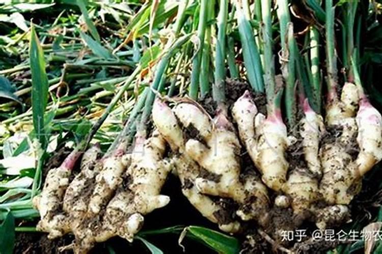 磷肥分类
