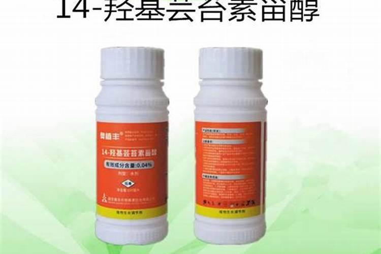 葡萄施肥的最佳时间