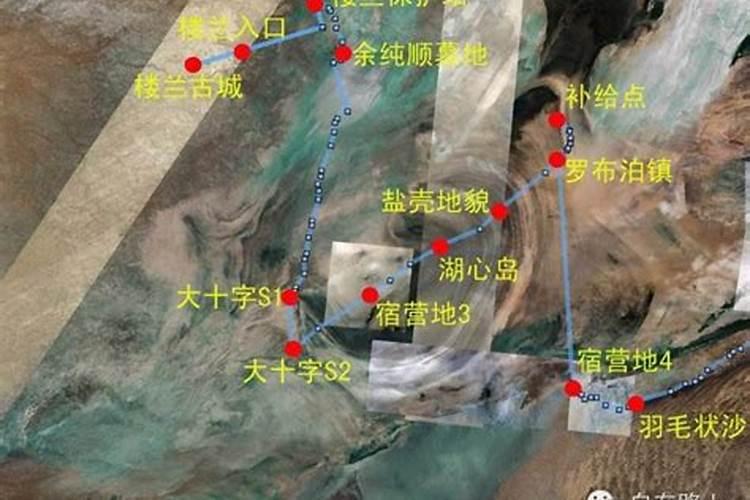 种大白菜用什么样的肥料好？为什么？
