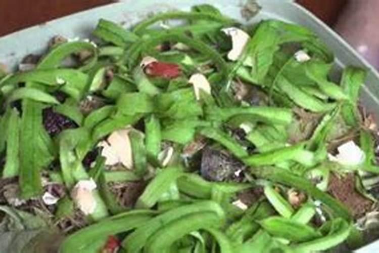 蘑菇食用菌养殖方法