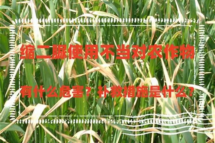 氮肥的品种有哪些呢？