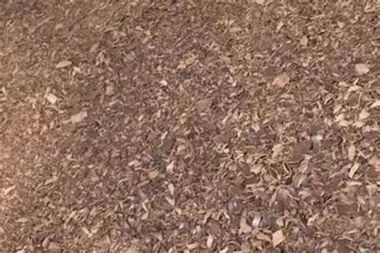 如何给农作物科学施用锌肥