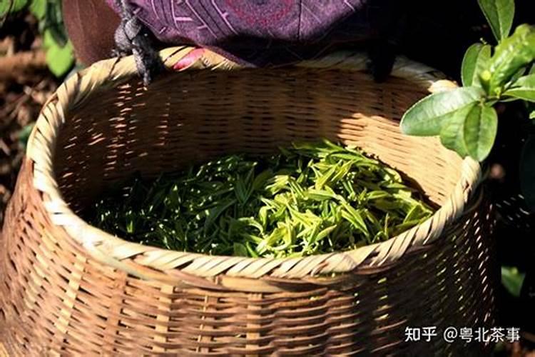 白牡丹的花语
