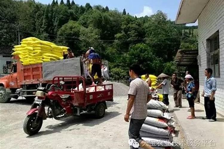 硼可以和尿素及复合肥一起混施吗？