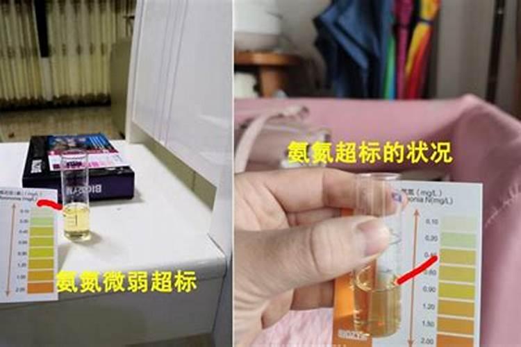 100公斤渔饲料会产生多少氨氮