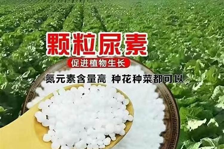 亳州技校有哪些学校