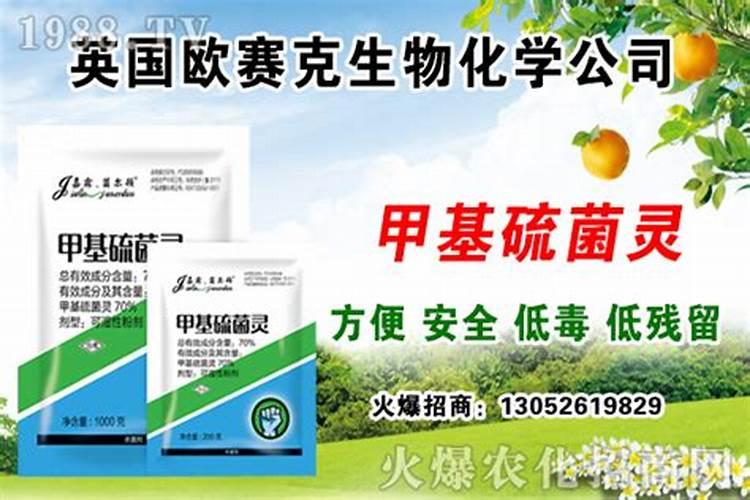 植物“生根粉(剂)”主要成分是啥？咋配制？