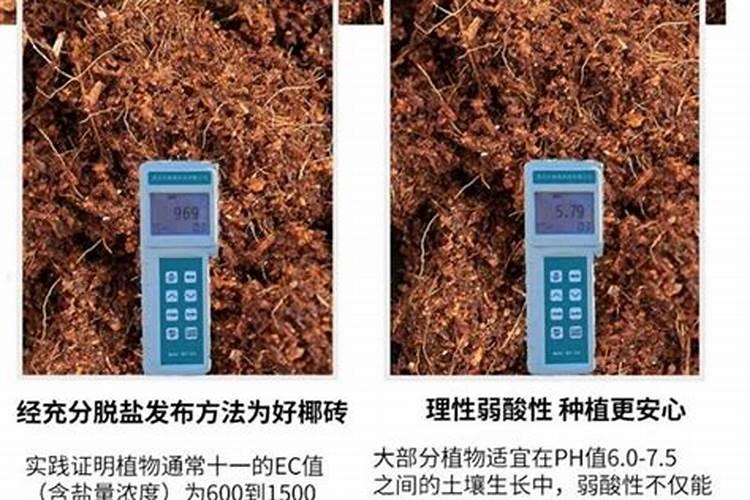 水蜜桃结果后的管理方法