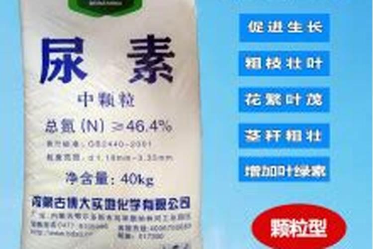 兰花施肥“顺口溜”,一句话就能记住