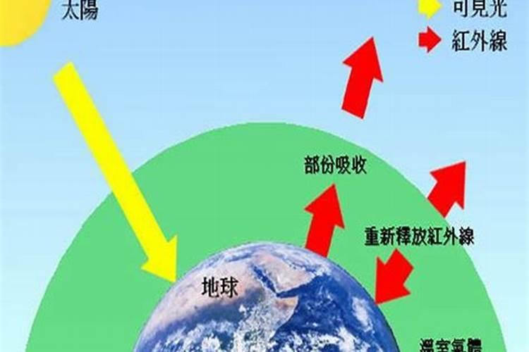 有机肥一亩用多少公斤  40公斤有机肥多少钱