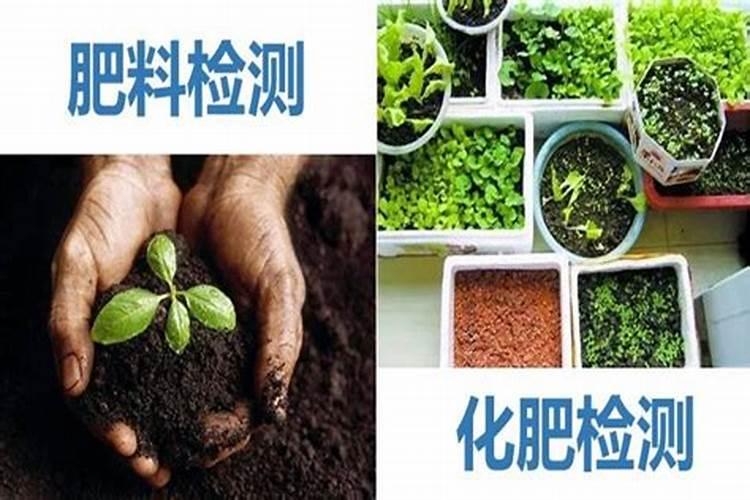 怎样促使葡萄老根生根发芽？