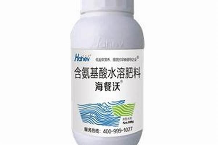 大叶黄杨冬季叶子干死怎么回事