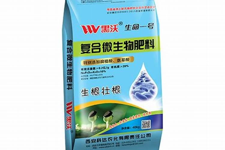 凤尾竹的施肥方法(凤尾竹的施肥技巧,如何科学养护,让竹子绿意盎然)