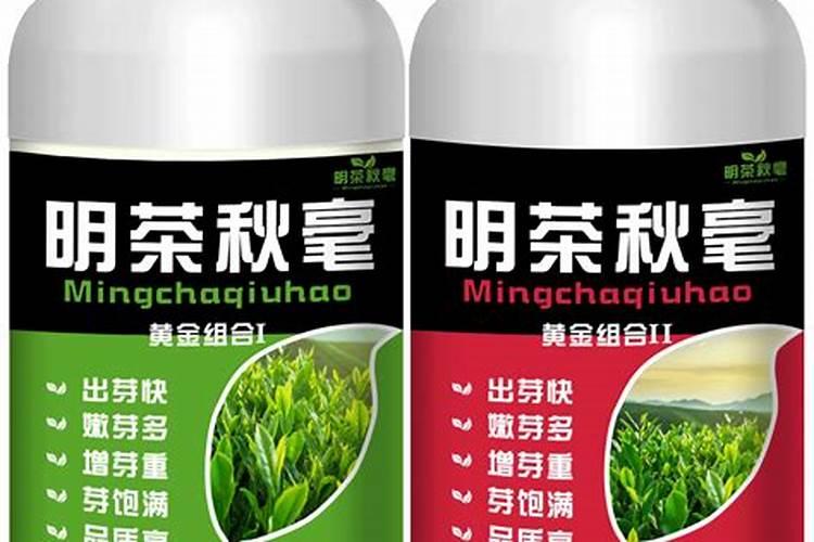 茶叶叶面肥什么时间吸收最好？