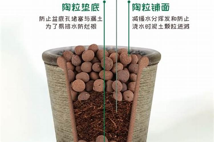 有机肥一个花盆放多少,可以直接撒在花盆上面吗