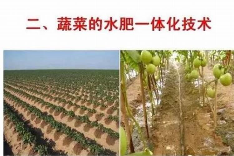 一桶水50斤加多少复合肥