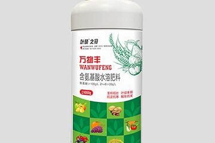 柿子树每枝的头上叶子都是塔拉的,为什么？