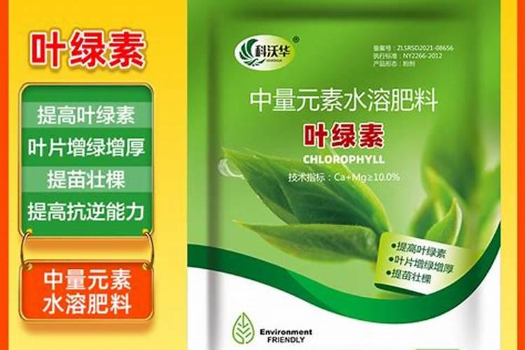 请问各位专家甜瓜叶子得了什么病？短时间内满棚叶子都是黄边,叶子反面有...