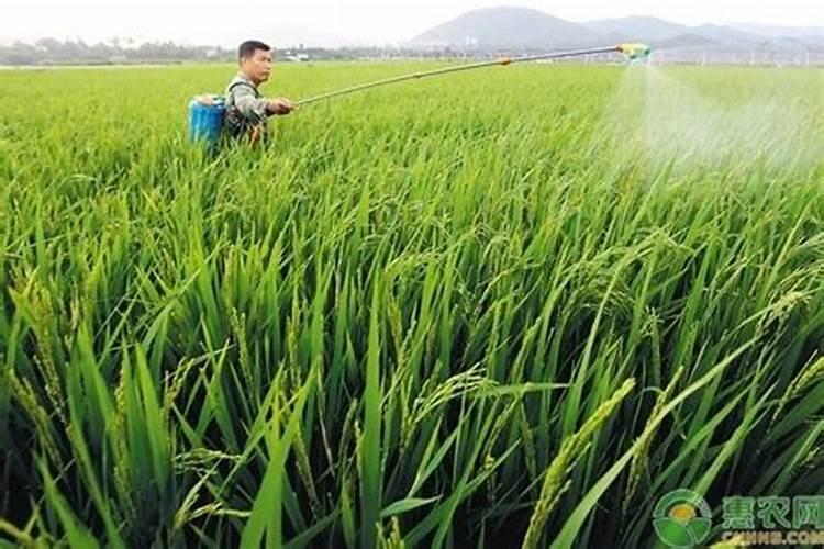 国内的好水溶肥厂家有哪些？
