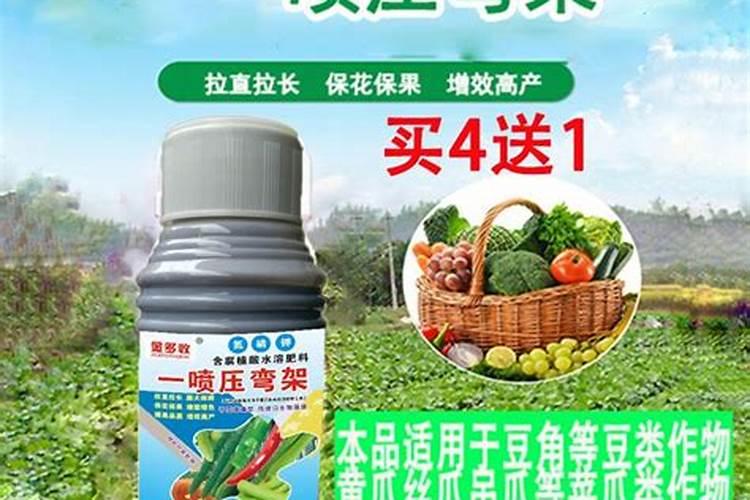 颗粒水溶肥有什么成分？大棚黄瓜用合适吗？