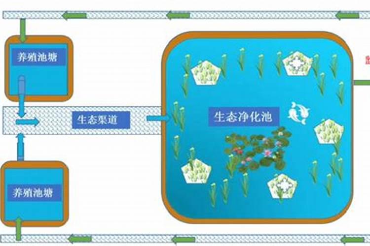 福进门水溶肥和普通肥料有什么区别吗