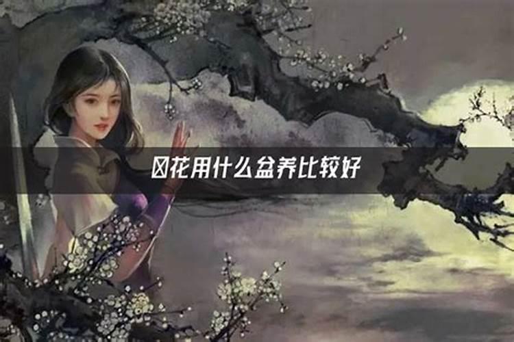 花芽分化用什么叶面肥